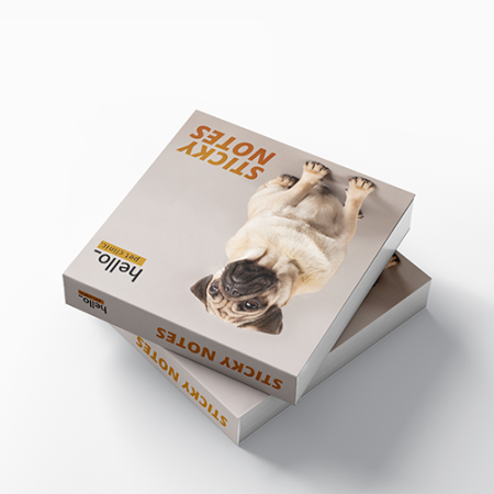 Sticky notes with softcover