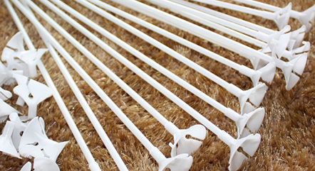 Balloons with sticks